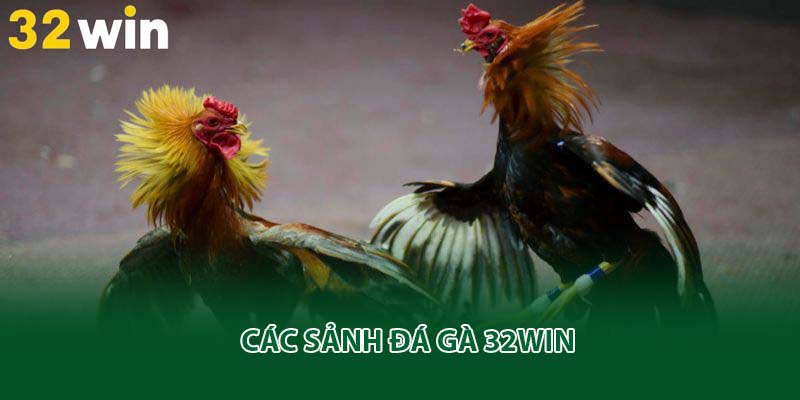 Các sảnh đá gà 32win
