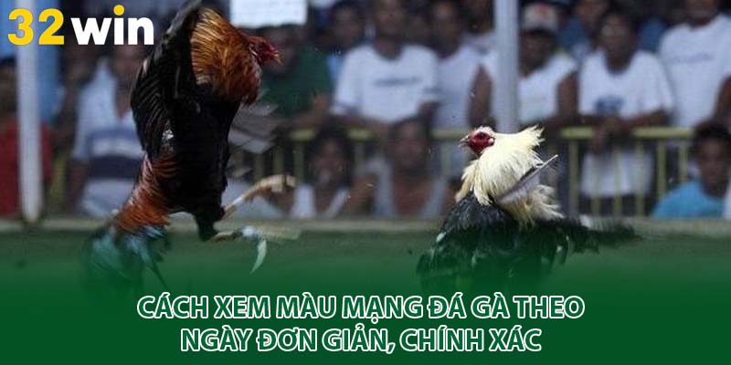 cách xem màu mạng đá gà theo ngày