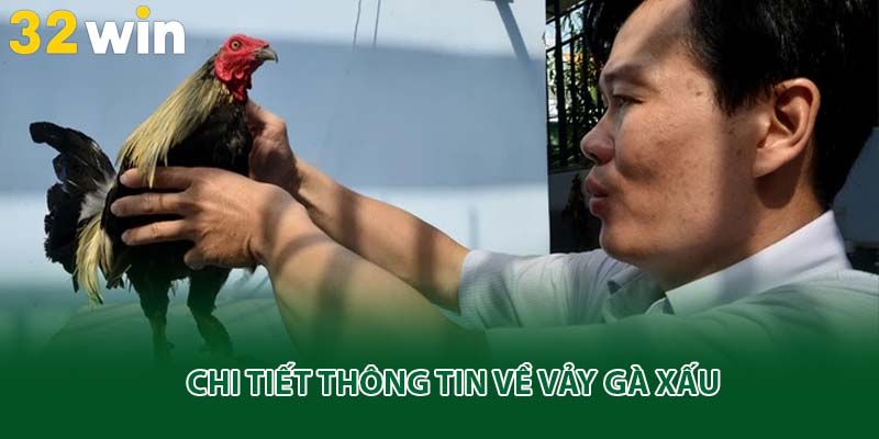 Chi tiết thông tin về vảy gà xấu