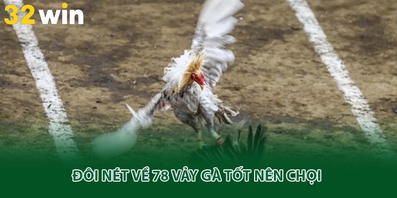Đôi nét về 78 vảy gà tốt nên chọi