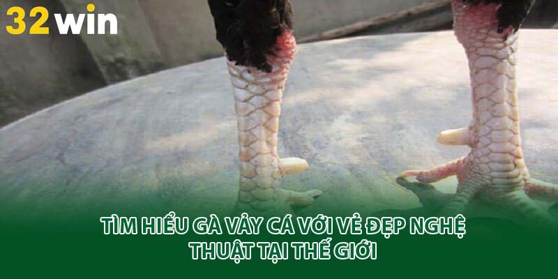 Gà vảy cá