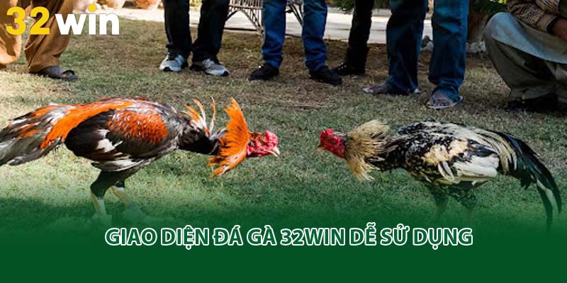 Giao diện đá gà 32win dễ sử dụng