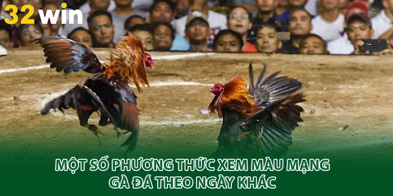 Một số phương thức xem màu mạng gà đá theo ngày khác