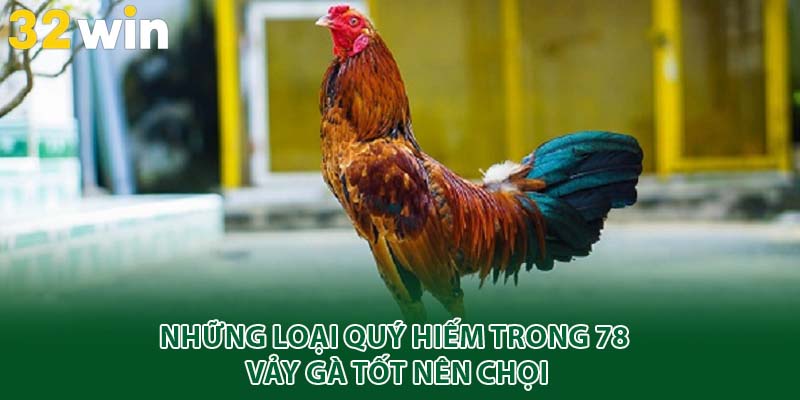 Những loại quý hiếm trong 78 vảy gà tốt nên chọi