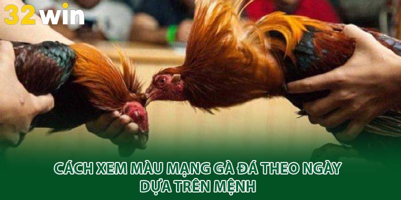 Cách xem màu mạng gà đá theo ngày dựa trên mệnh