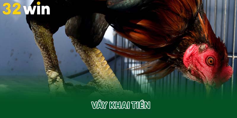 Vảy khai tiền